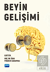 Beyin Gelişimi