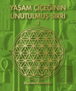 Yaşam Çiçeğinin UnutulŞəki Sırrı 3