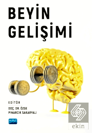 Beyin Gelişimi